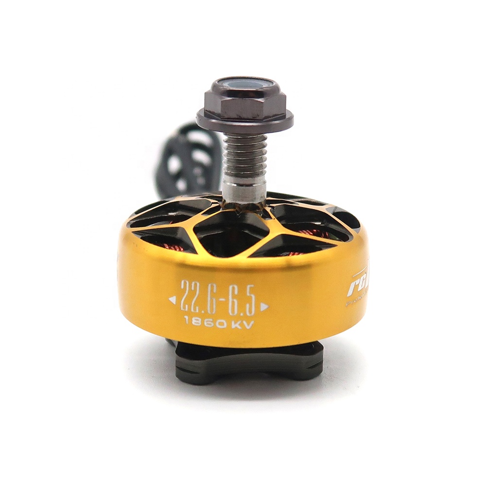 RCINPOWER WASP MAJOR 1860KV 20 - Drone Battery 6S recensione e prezzo