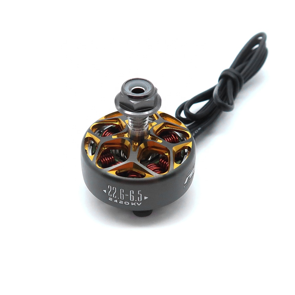 RCINPOWER WASP MAJOR 1860KV 20 - Drone Battery 6S recensione e prezzo